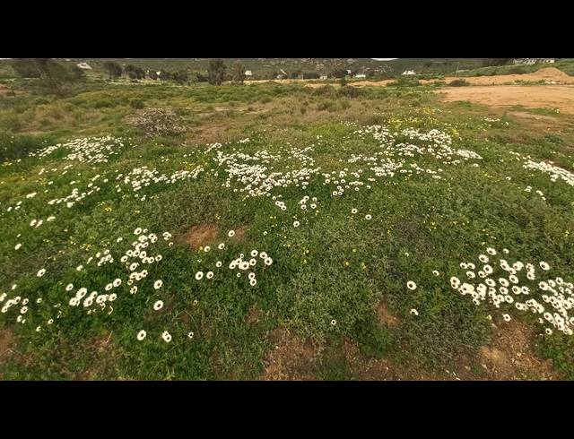 419M² VACANT LAND FOR SALE IN ST HELENA VIEWS